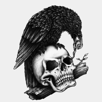 Skull crow Thumbnail